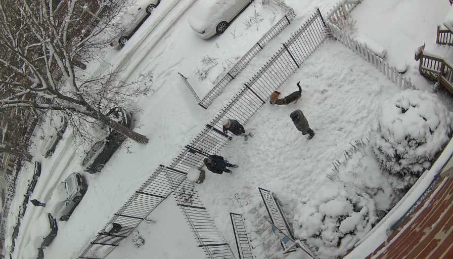 Reolink Camera Two_01_Reolink Home Hub One_20260125144839.jpg